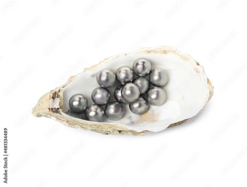 Wall mural Oyster shell with black pearls on white background, top view