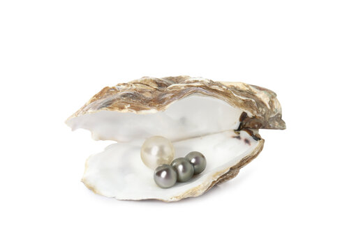 Open oyster shell with different pearls on white background