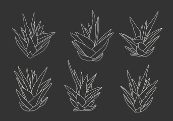 Minimalist botanical branch with leaves elements for abstract collage