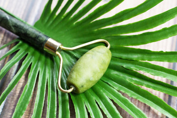 Jade roller facial massager and palm branch