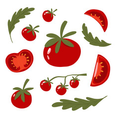 Bright juicy tomatoes of different sizes with leaves, pulp and slices. Vector illustration isolated on a white background. Vector illustration