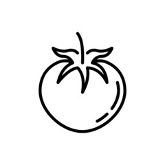 Tomato thin line icon. Vegetarian organic healthy food. Vector illustration.