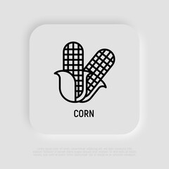 Corn cobs thin line icon. Food intolerance symbol. Vector illustration.