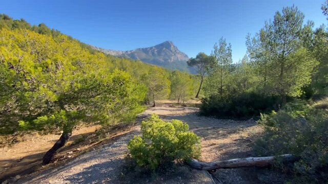 Montagne Saint-Victoire seen from the Roques-Hautes departmental park in Provence, France