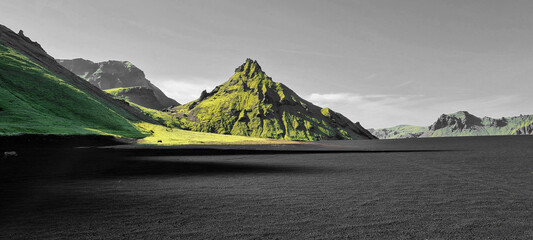 Moosbewachsener Fels in Island