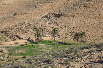 The Sahara Desert in Tunisia.