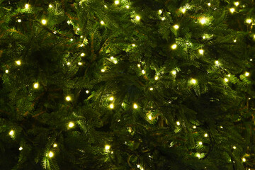 Christmas Background. Garland lights New Year's illumination on the Christmas tree. Abstract...
