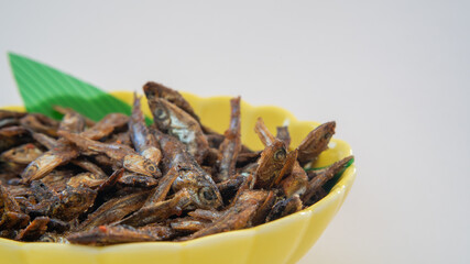 日本の料理「田作り」”Sweet fried sardines”