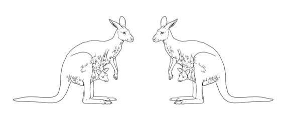 Mama kangaroo with baby in her pocket. Australian animals for coloring.