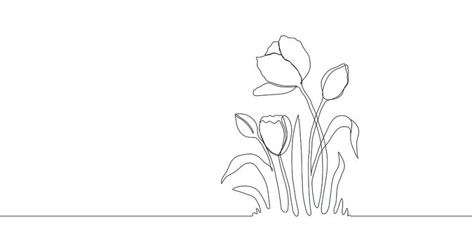 Tulips. One single line. Vector illustration. Doodle floral border