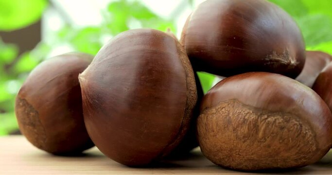 Autumn delicacies, chestnuts on a wooden table in front of a green background