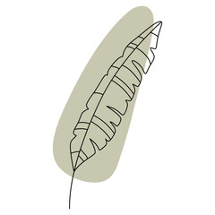 Banana leaf in line art style. Minimal tropical leaves, boho jungle leaf outline. Palm leaves hand drawn vector. Botanical design element and abstract shape