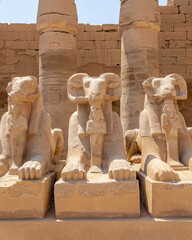 A pile of effigies of rams arranged in a row, Karnak temple, Luxor, Egypt.