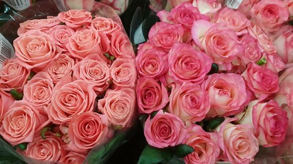 Bouquet of roses in warm colors