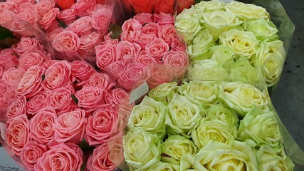 Bouquet of roses in warm colors