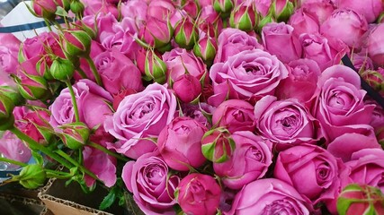 Bouquet of roses in warm colors