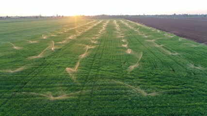 Irrigation systems in agricultural field. 