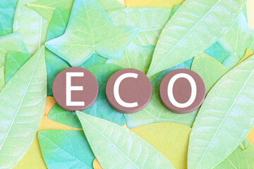 葉の背景とECOの文字ブロック