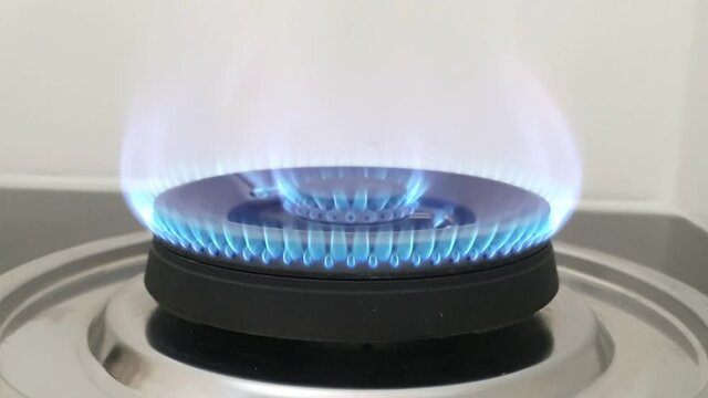 Gas burning in kitchen, close-up flame on stove, fire of burner cooking.
