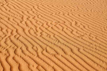 Close-up of desert sand texture forming curved lines and patterns, UAE