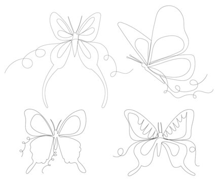 set of flying butterfly continuous line drawing, sketch,vector