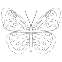 butterfly, contour sketch on white background, isolated, vector