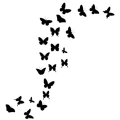 Fototapeta na wymiar flying butterflies, silhouette, white background, vector