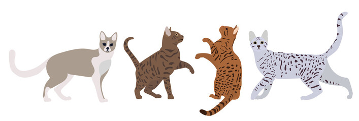 cats set on white background,isolated,vector