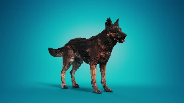 Toy blocks. Dog figure is assembling from toy bricks on a blue studio background. 3d render animation.