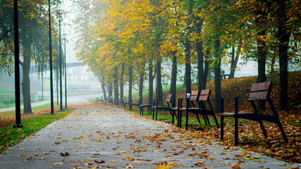 alejka w parku jesienią