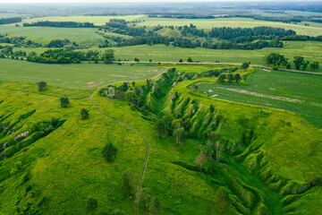 Green fields from above