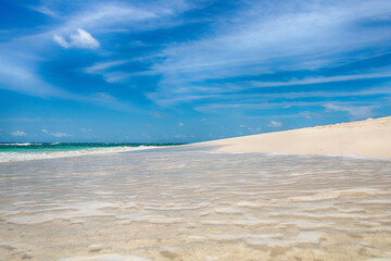 Fototapeta na wymiar Beautiful paradise wild beach. Ocean, sand and palm trees.