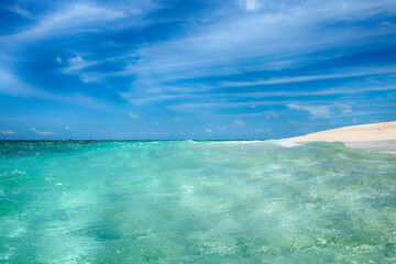 Beautiful paradise wild beach. Ocean, sand and palm trees.