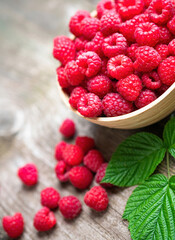 Fresh ripe red raspberries with leaves in a bowl on rustic old wooden table. Healthy organic food, summer vitamins, BIO viands, natural background. Copy space for your advertising text message.