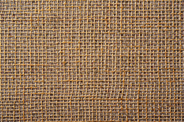golden net macro texture