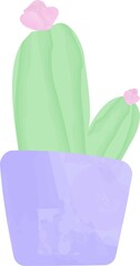 cactuse doodle
