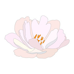 Painted flower, large lush flower