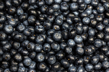 Blueberry background. Ripe berries texture background.