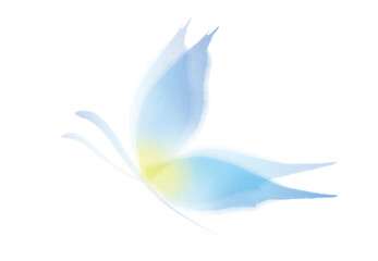 蝶　花びら　水彩	