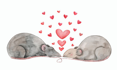 Two cute gray rats in love sleep with their tails locked. 
Watercolor illustration 
