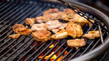 Grilled chicken breast on the flaming grill, real picture, dark background