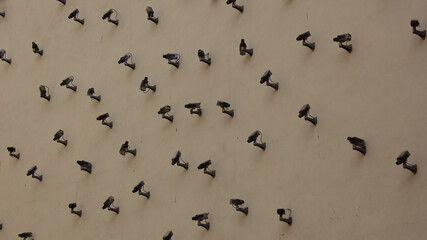 El gran hermano te vigila