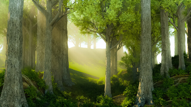 Photorealistic background: morning in a beautiful magic forest with sunrays coming down through the trees. 3D rendering