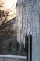 Icy gutter hanging from roof. Big icicles caused by poor thermal insulation or spring thaw, snow melting outside building. Glossy ice on house during winter frost and cold season. Wintertime weather
