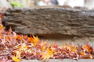 石の階段に積もった紅葉、落ち葉