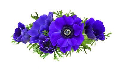 Blue anemone flowers in a floral arrangement isolated