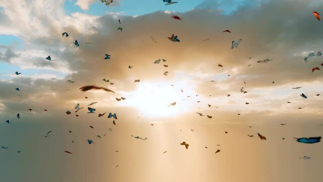 A kaleidoscope of multicolored butterflies flying in front of heavenly sunlight.
