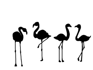 flamingo silhouette vector