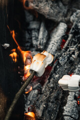 a campfire in the forest & marshmellows