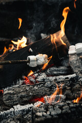 campfire in the forest & marshmellows